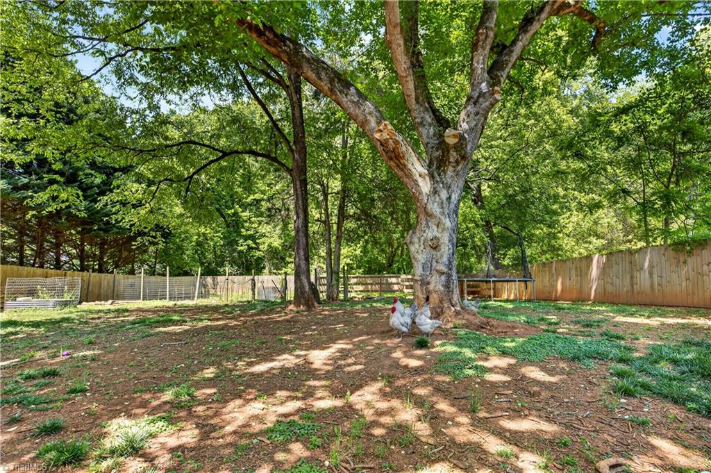 6595 Jonathan Street Pfafftown, NC 27040 - Photo 36 of 37