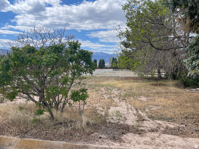 438 East Main Street Elsinore, UT 84724 - Photo 9 of 43 Expansive open lot featuring mature trees and a distant mountain range under a cloudy sky