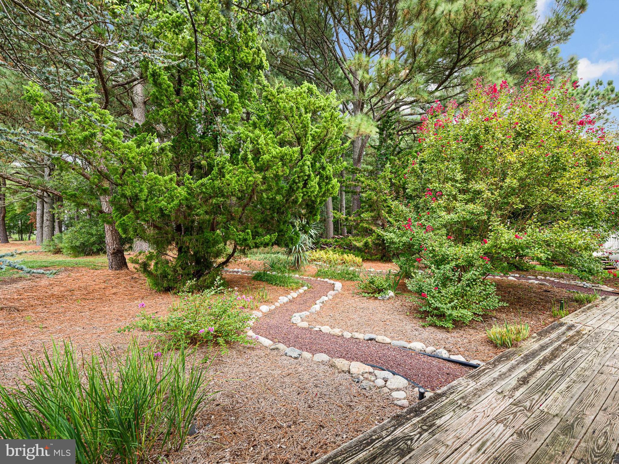 532 Bethany Loop Bethany Beach, DE 19930 - Photo 11 of 65 a view of a yard with plants and large trees