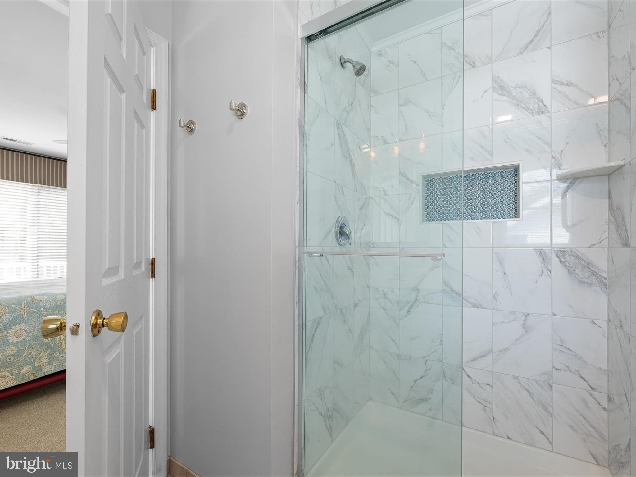 532 Bethany Loop Bethany Beach, DE 19930 - Photo 37 of 65 Primary bath shower