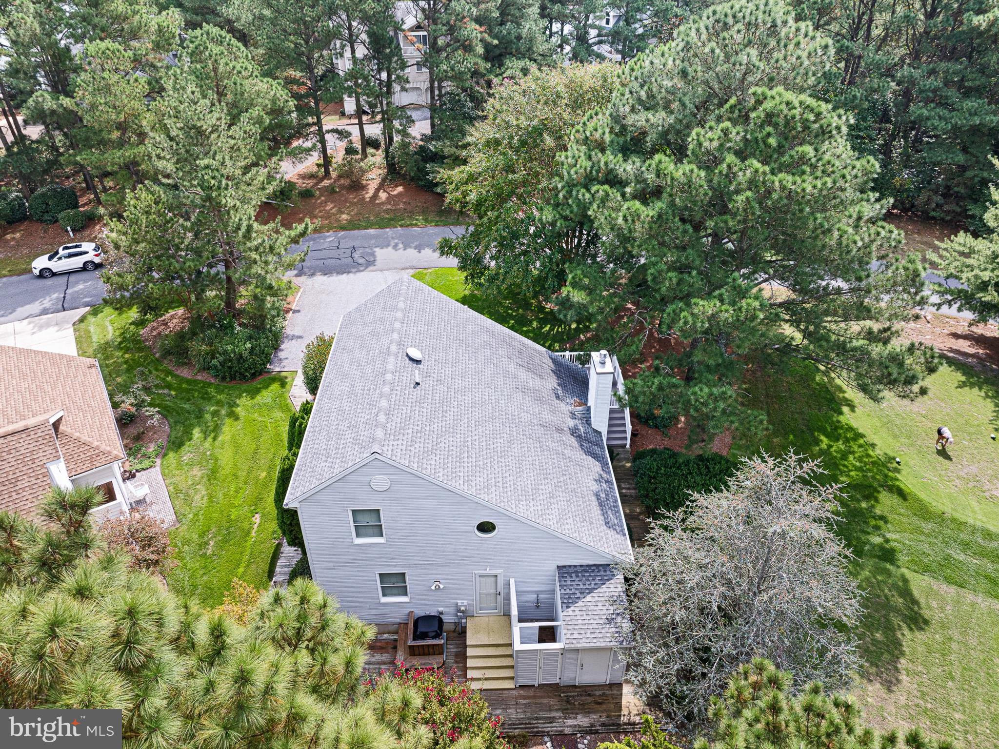532 Bethany Loop Bethany Beach, DE 19930 - Photo 6 of 65 Trees and bushes for privacy