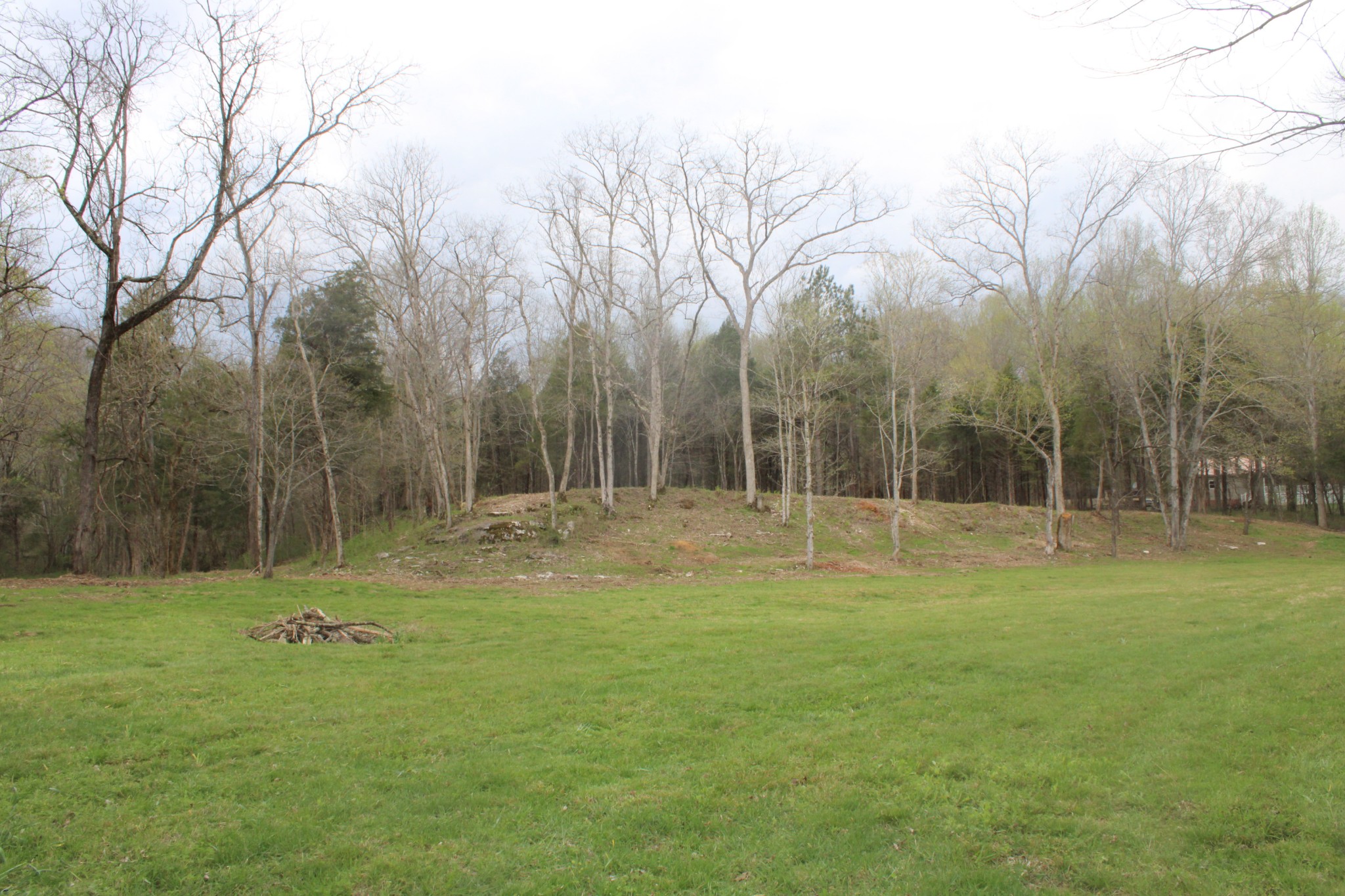 0 Cochran Road Lyles, TN 37098 - Photo 1 of 24 Gallery Image 1