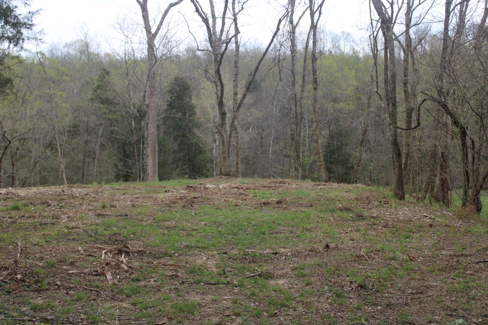 0 Cochran Road Lyles, TN 37098 - Photo 11 of 24 Gallery Image 11