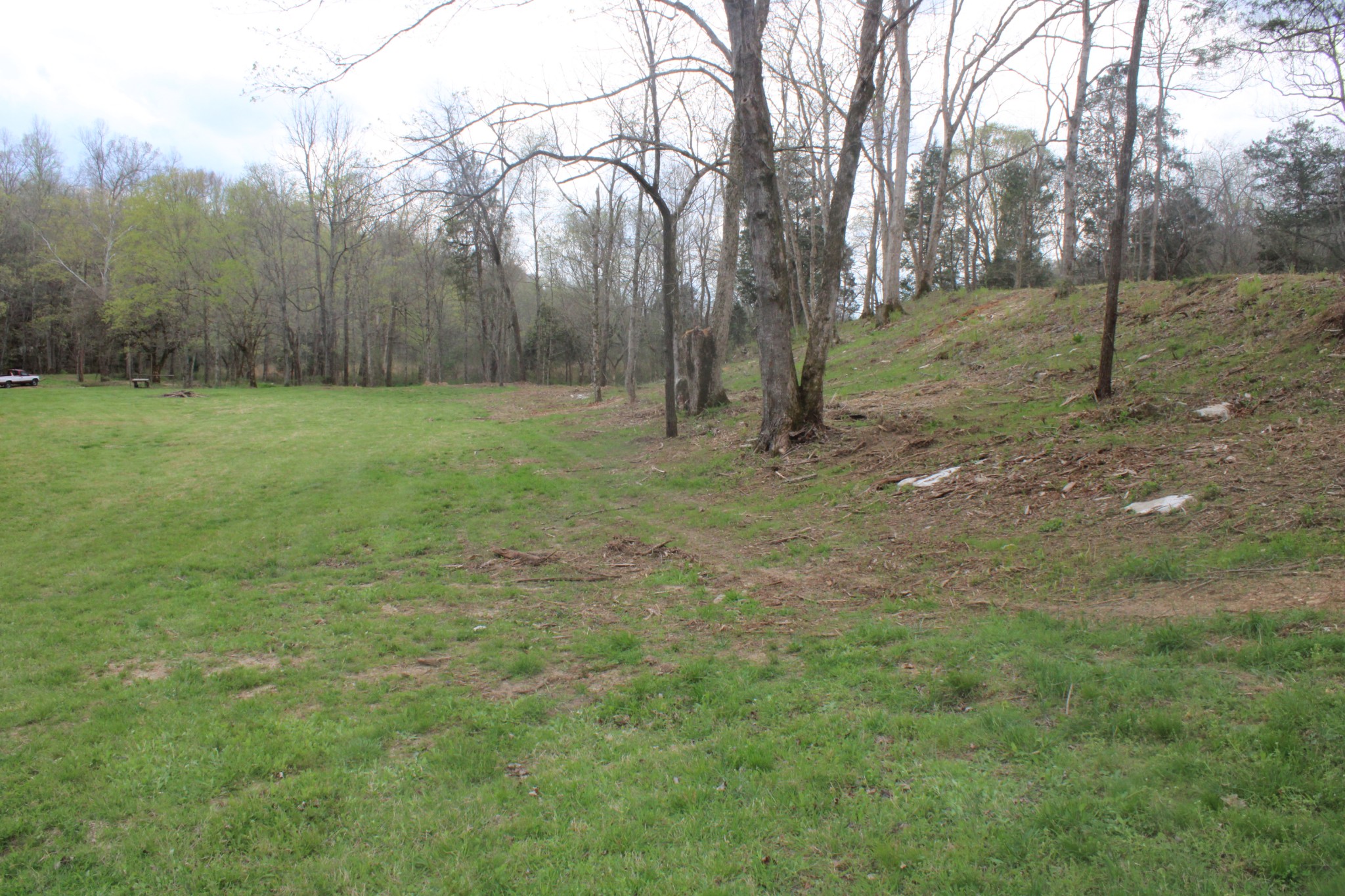 0 Cochran Road Lyles, TN 37098 - Photo 16 of 24 Gallery Image 16