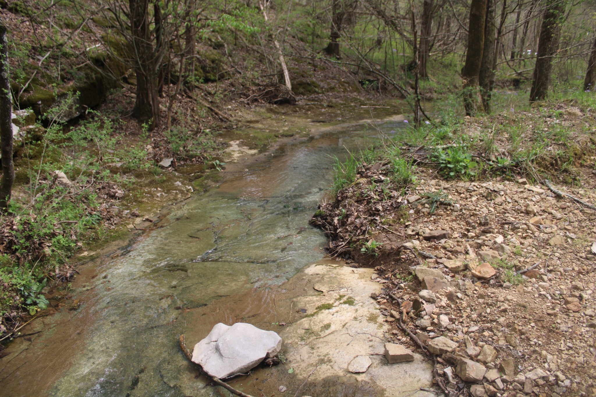 0 Cochran Road Lyles, TN 37098 - Photo 20 of 24 Gallery Image 20