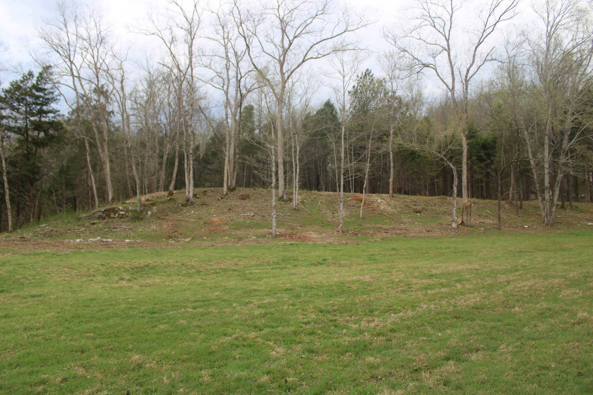 0 Cochran Road Lyles, TN 37098 - Photo 3 of 24 Gallery Image 3