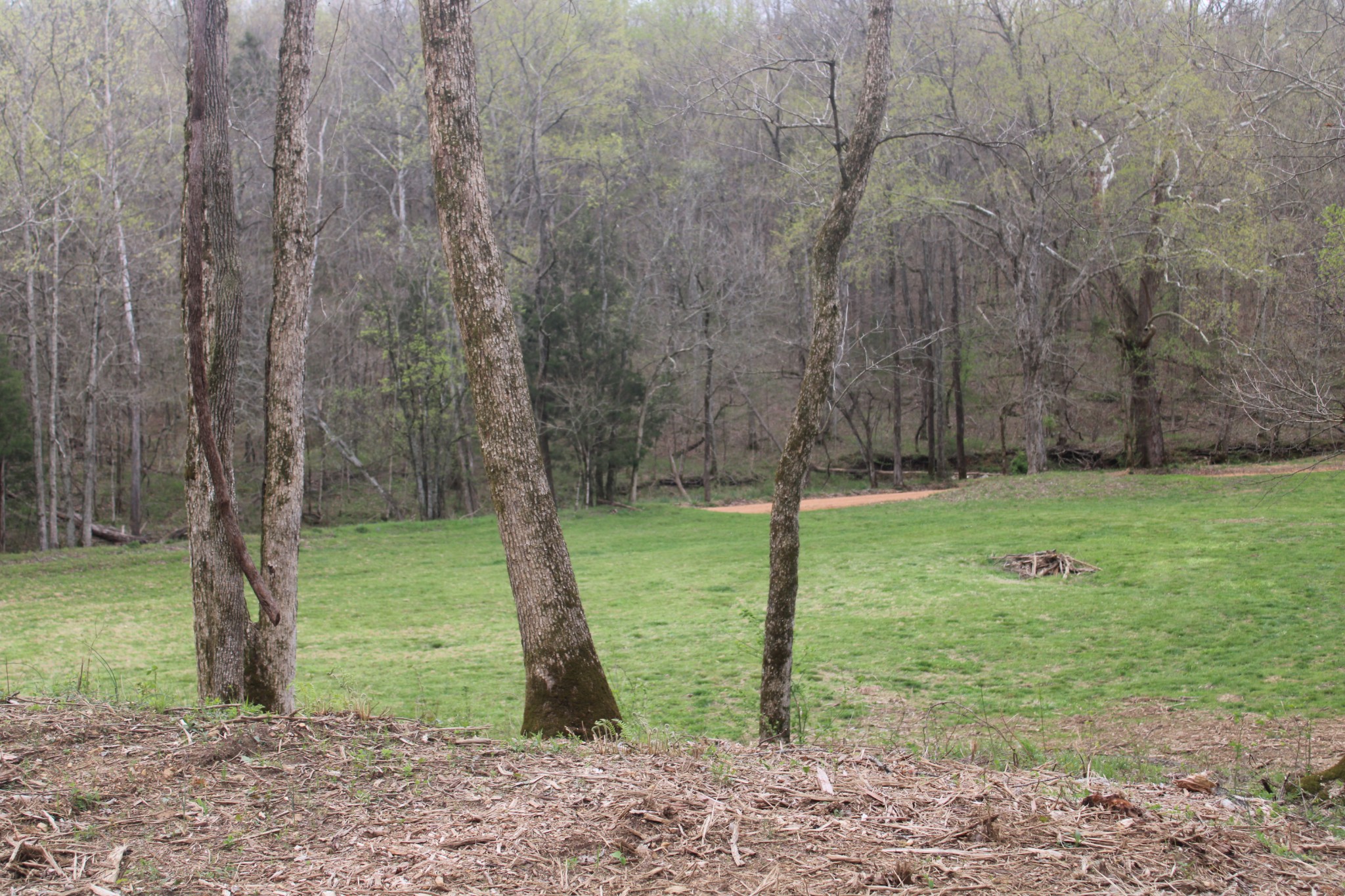0 Cochran Road Lyles, TN 37098 - Photo 5 of 24 Gallery Image 5
