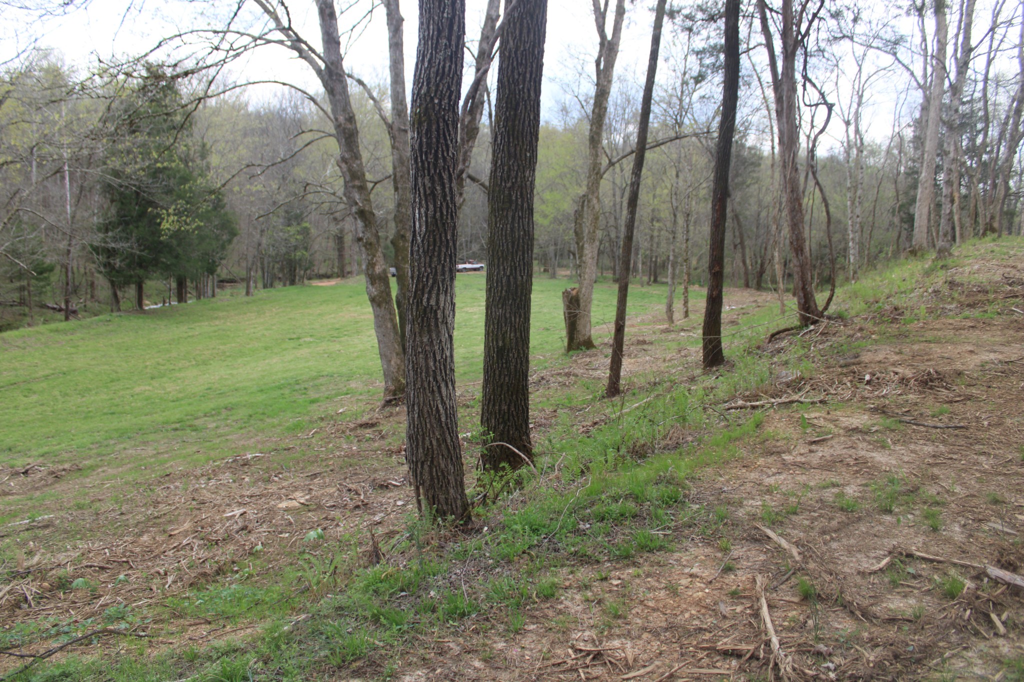 0 Cochran Road Lyles, TN 37098 - Photo 8 of 24 Gallery Image 8