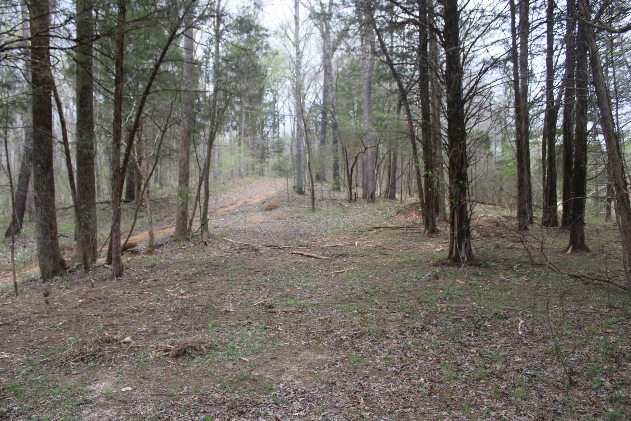 0 Cochran Road Lyles, TN 37098 - Photo 10 of 24 Gallery Image 10
