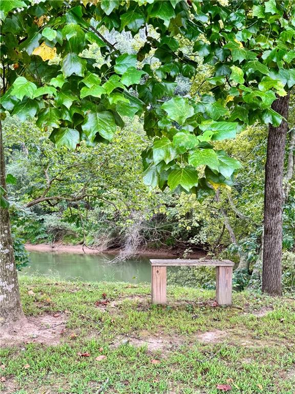 250 Hook Road Northeast Ranger, GA 30734 - Photo 111 of 114