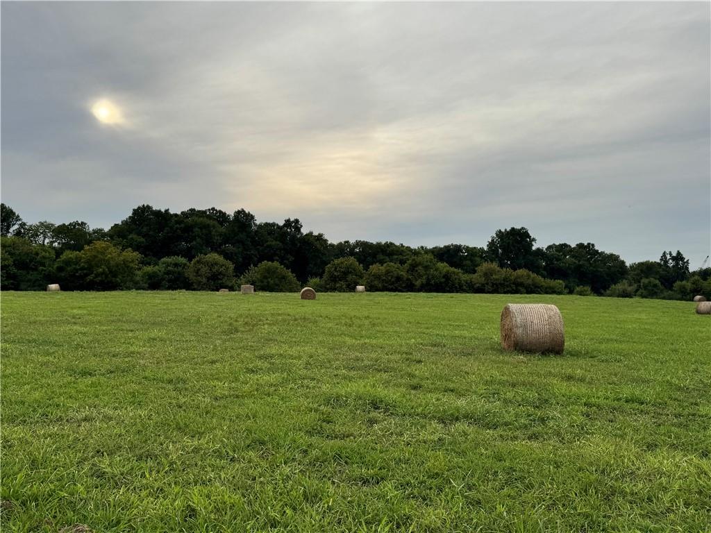 250 Hook Road Northeast Ranger, GA 30734 - Photo 97 of 114