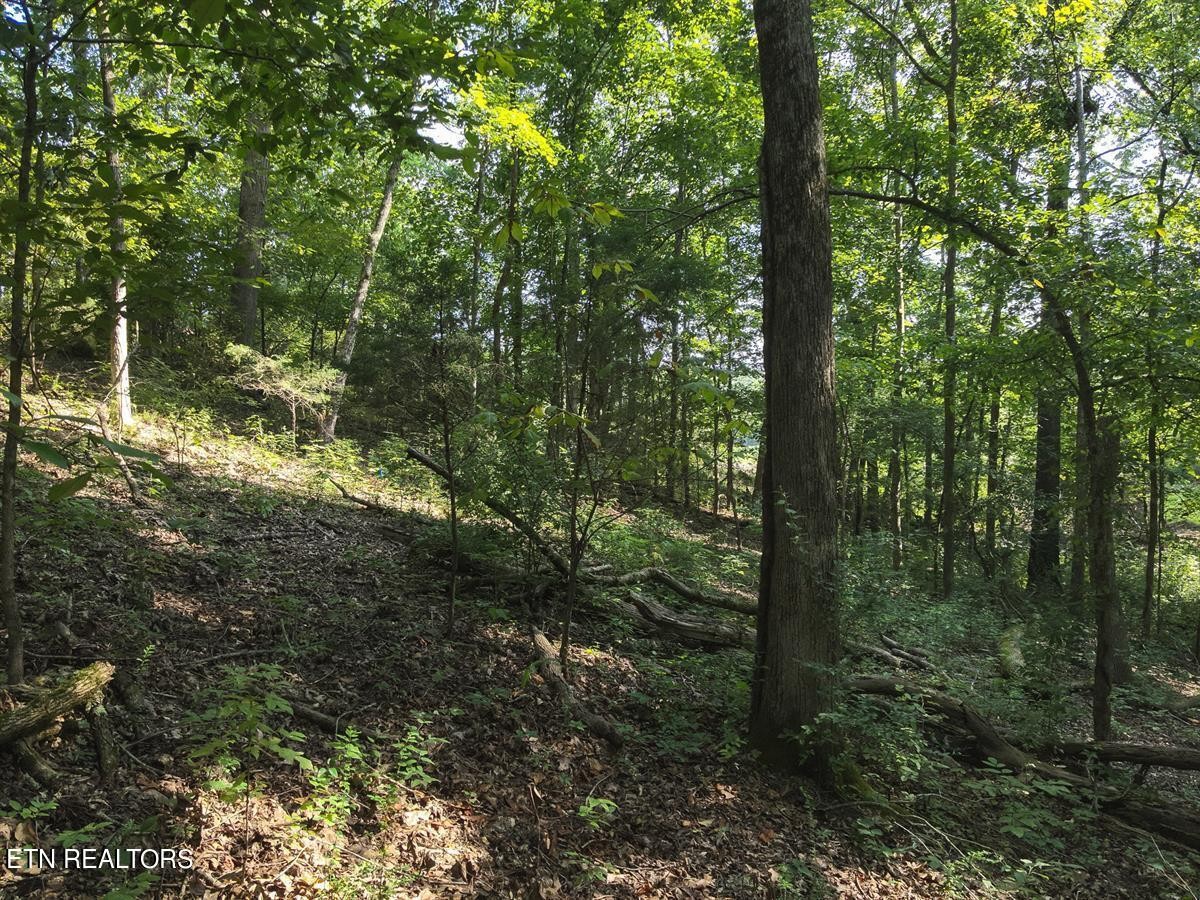 0 Providence Hills Road Sevierville, TN 37876 - Photo 11 of 36