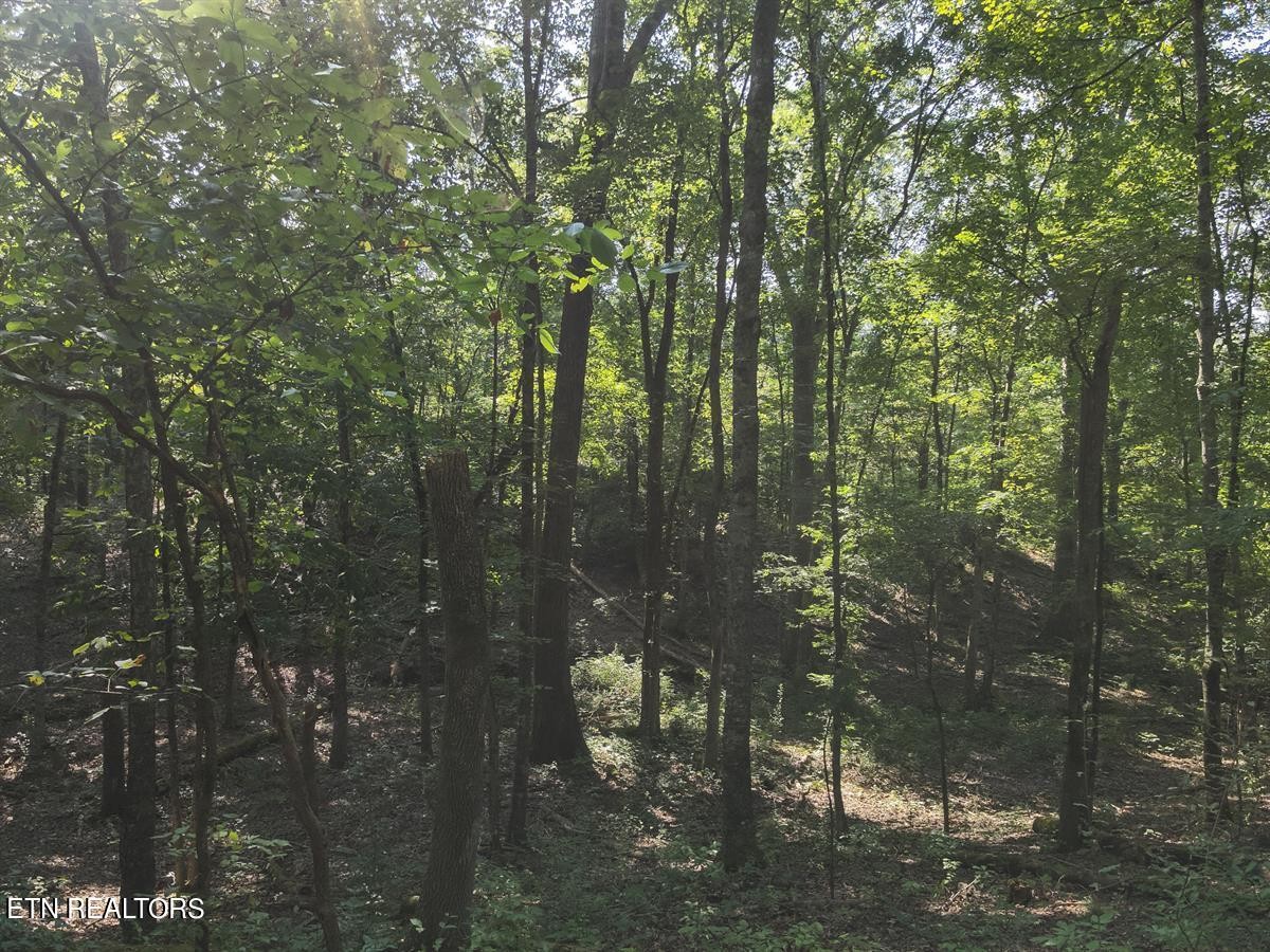 0 Providence Hills Road Sevierville, TN 37876 - Photo 16 of 36