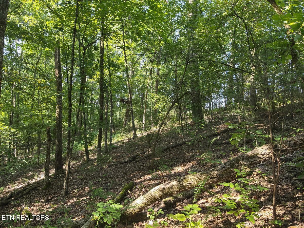 0 Providence Hills Road Sevierville, TN 37876 - Photo 17 of 36