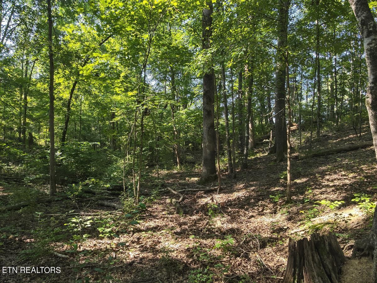 0 Providence Hills Road Sevierville, TN 37876 - Photo 18 of 36