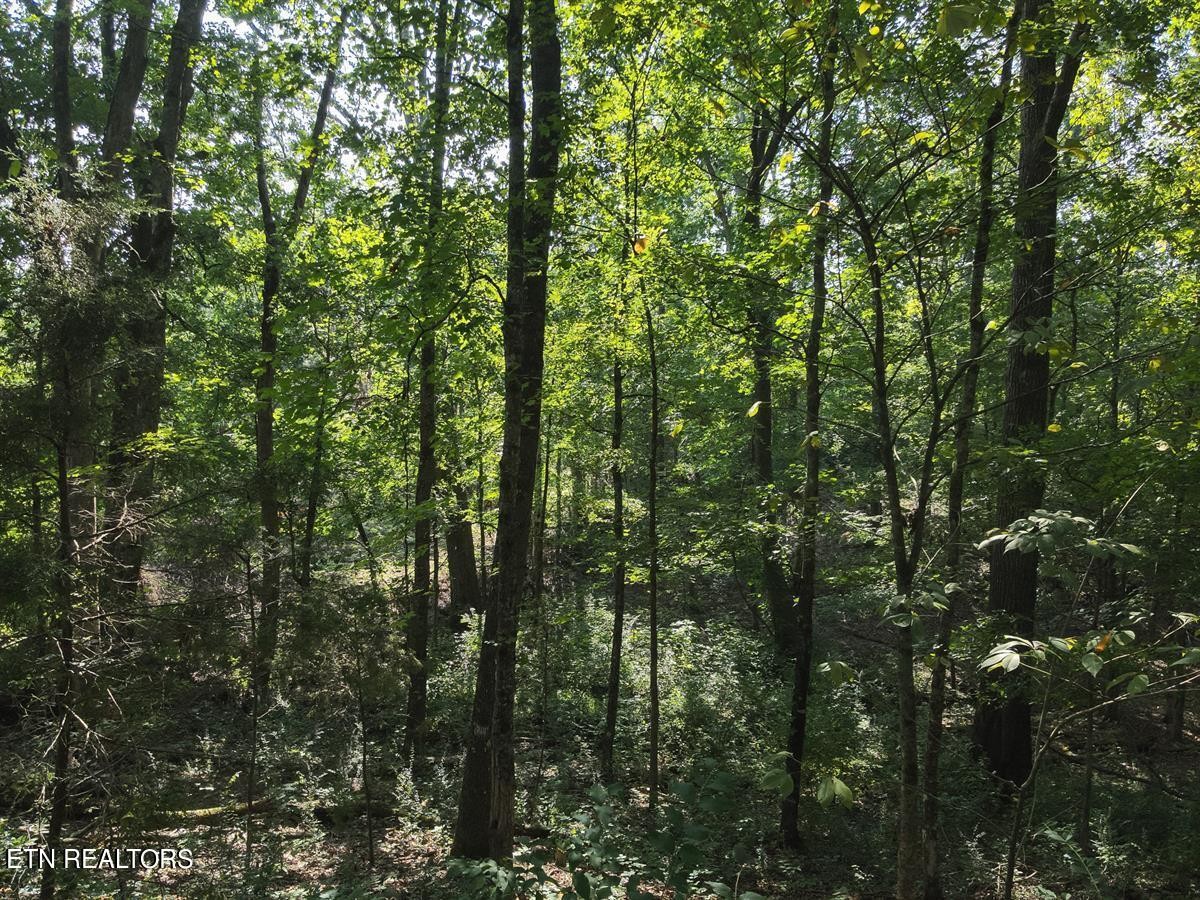 0 Providence Hills Road Sevierville, TN 37876 - Photo 23 of 36