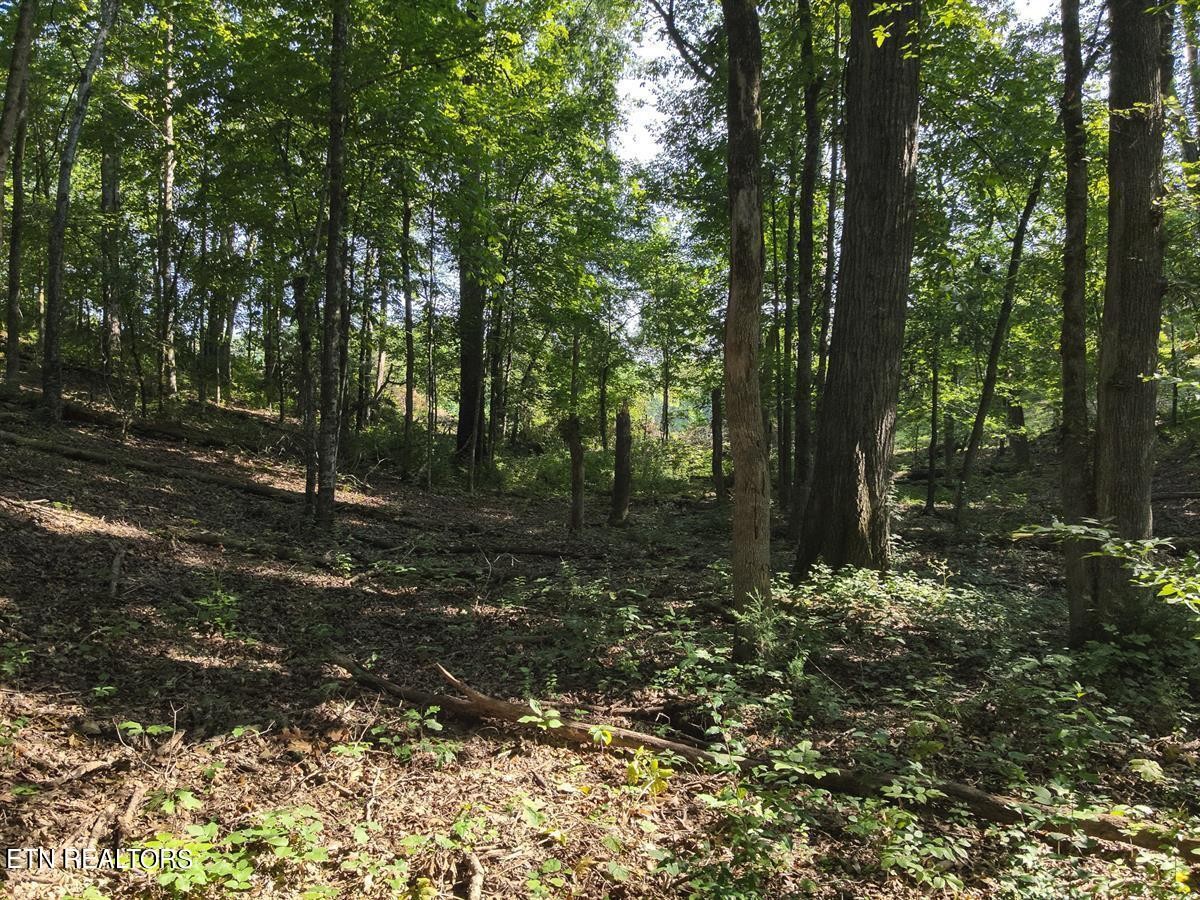 0 Providence Hills Road Sevierville, TN 37876 - Photo 24 of 36