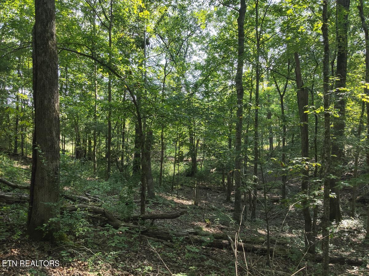0 Providence Hills Road Sevierville, TN 37876 - Photo 25 of 36