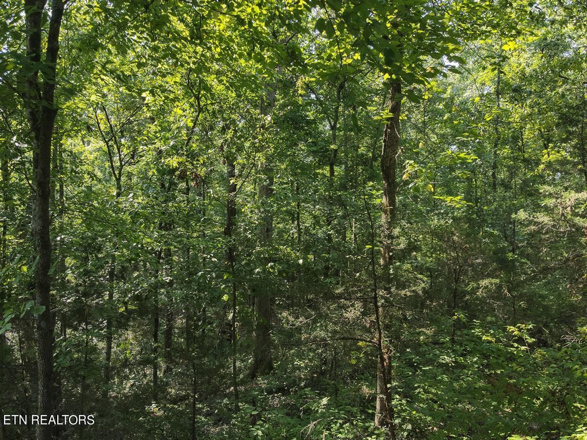 0 Providence Hills Road Sevierville, TN 37876 - Photo 26 of 36