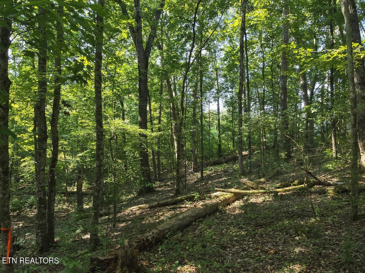 0 Providence Hills Road Sevierville, TN 37876 - Photo 27 of 36
