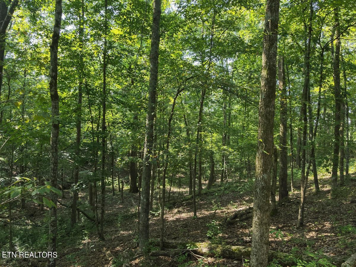 0 Providence Hills Road Sevierville, TN 37876 - Photo 8 of 36