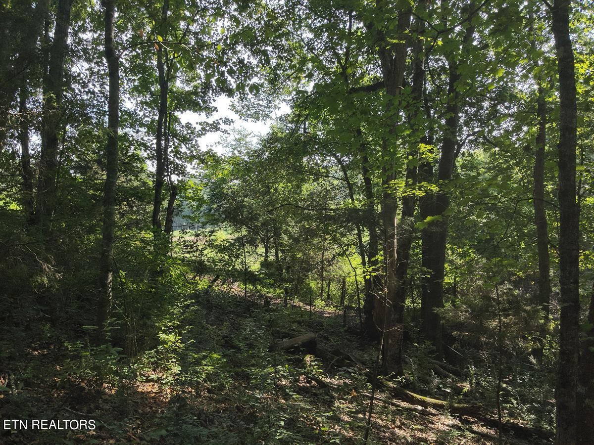 0 Providence Hills Road Sevierville, TN 37876 - Photo 10 of 36