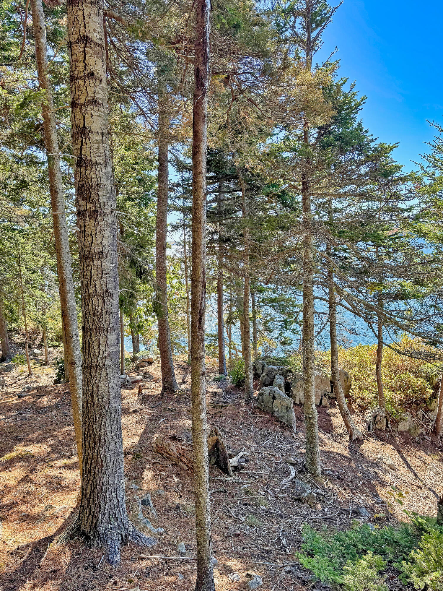 Lot 6 Sunset Road Brooksville, ME 04617 - Photo 19 of 35