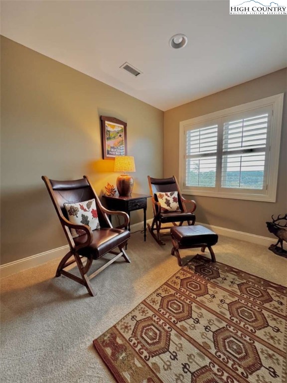 167 Elliott Circle, Unit D1 Blowing Rock, NC 28605 - Photo 14 of 25 a living room with furniture and a window