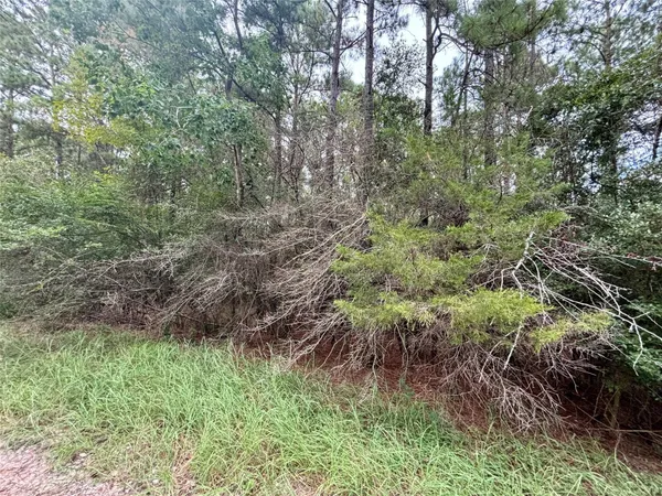$9,900 | Tbd Parkview Drive, Onalaska, TX 77360