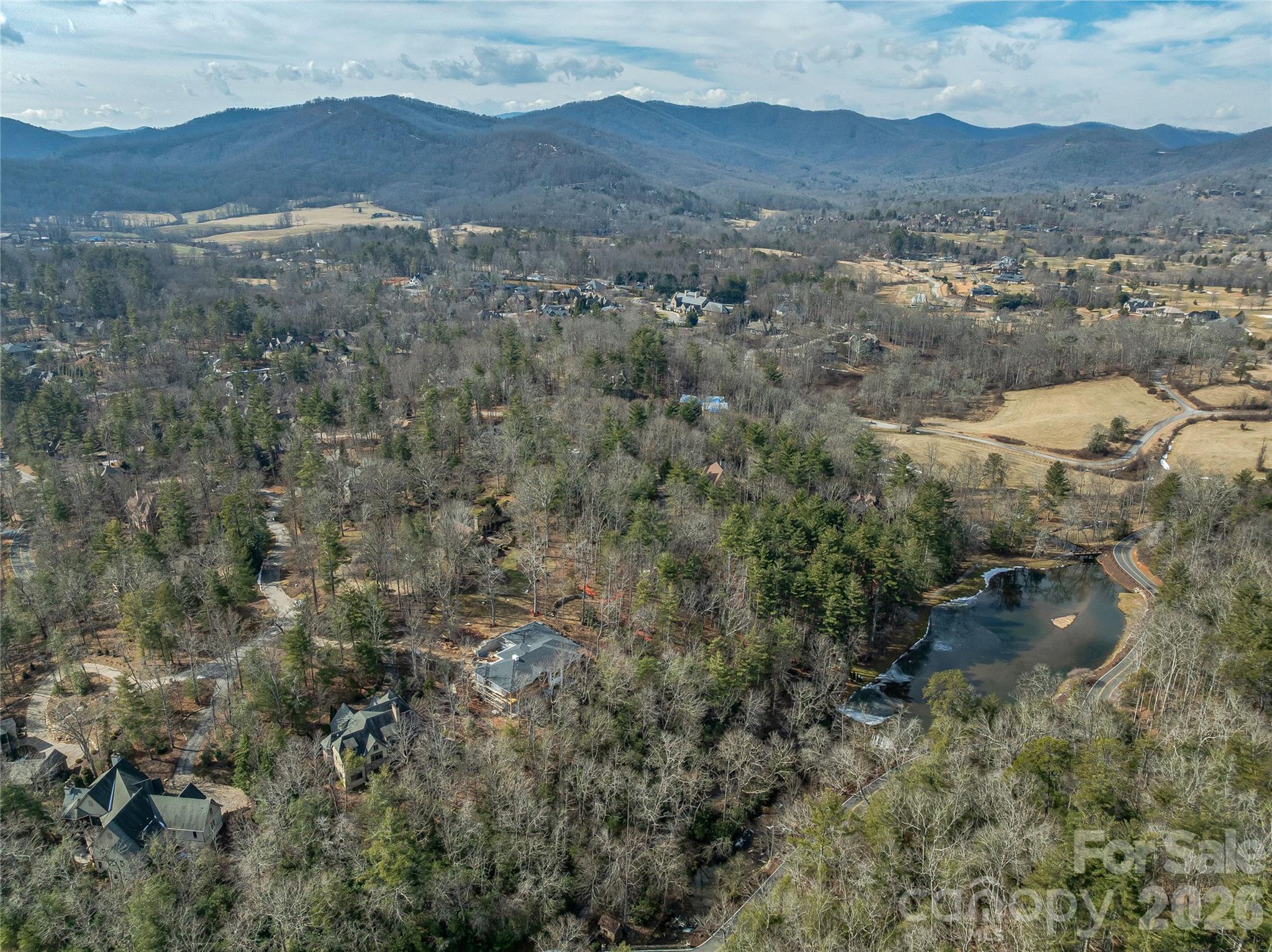 12 Falling Waters Trail Arden, NC 28704 - Photo 20 of 31 an aerial view of houses covered in trees