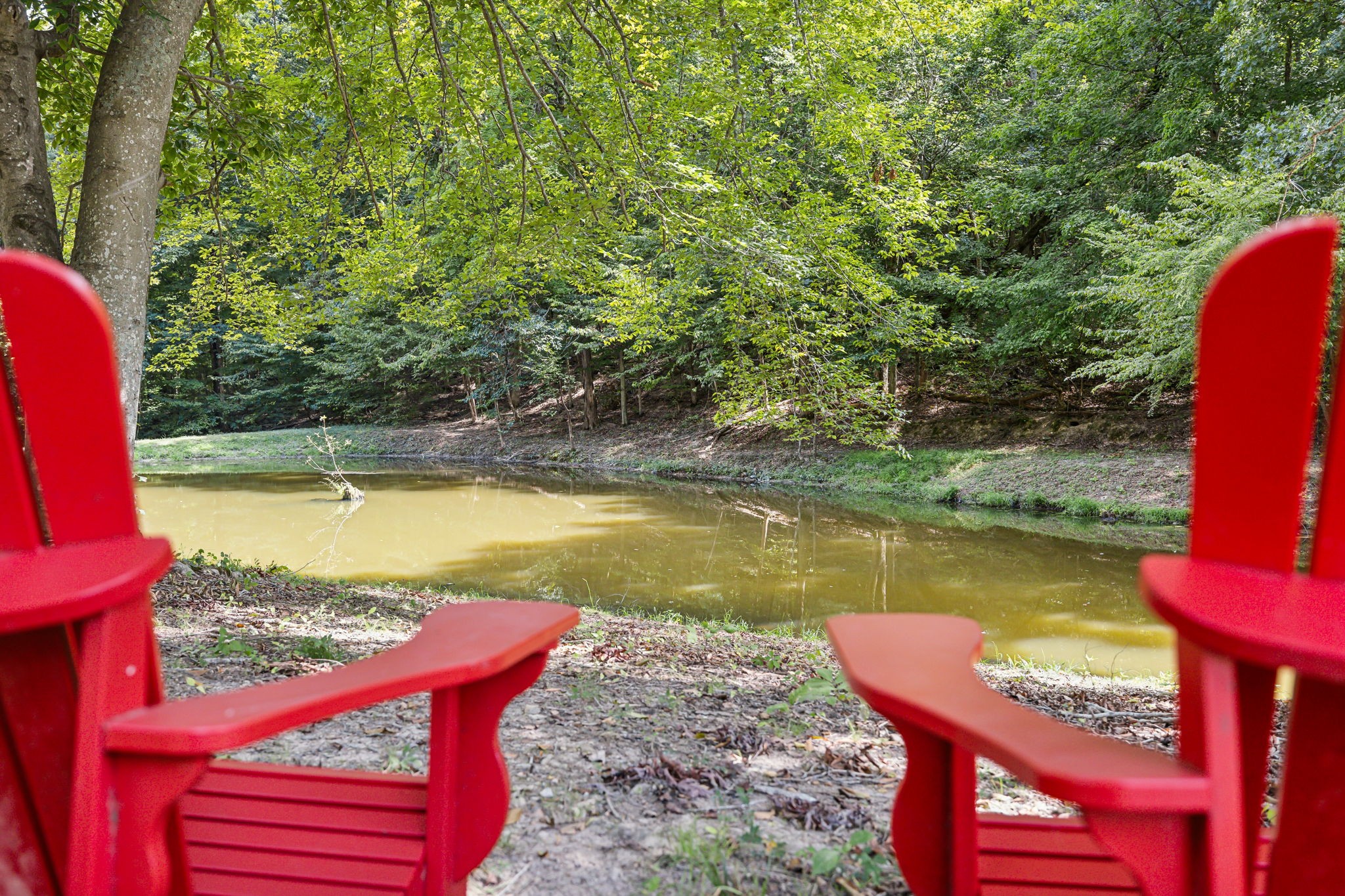1712 Sugar Ridge Road Spring Hill, TN 37174 - Photo 56 of 65 a view of a swimming pool with a yard