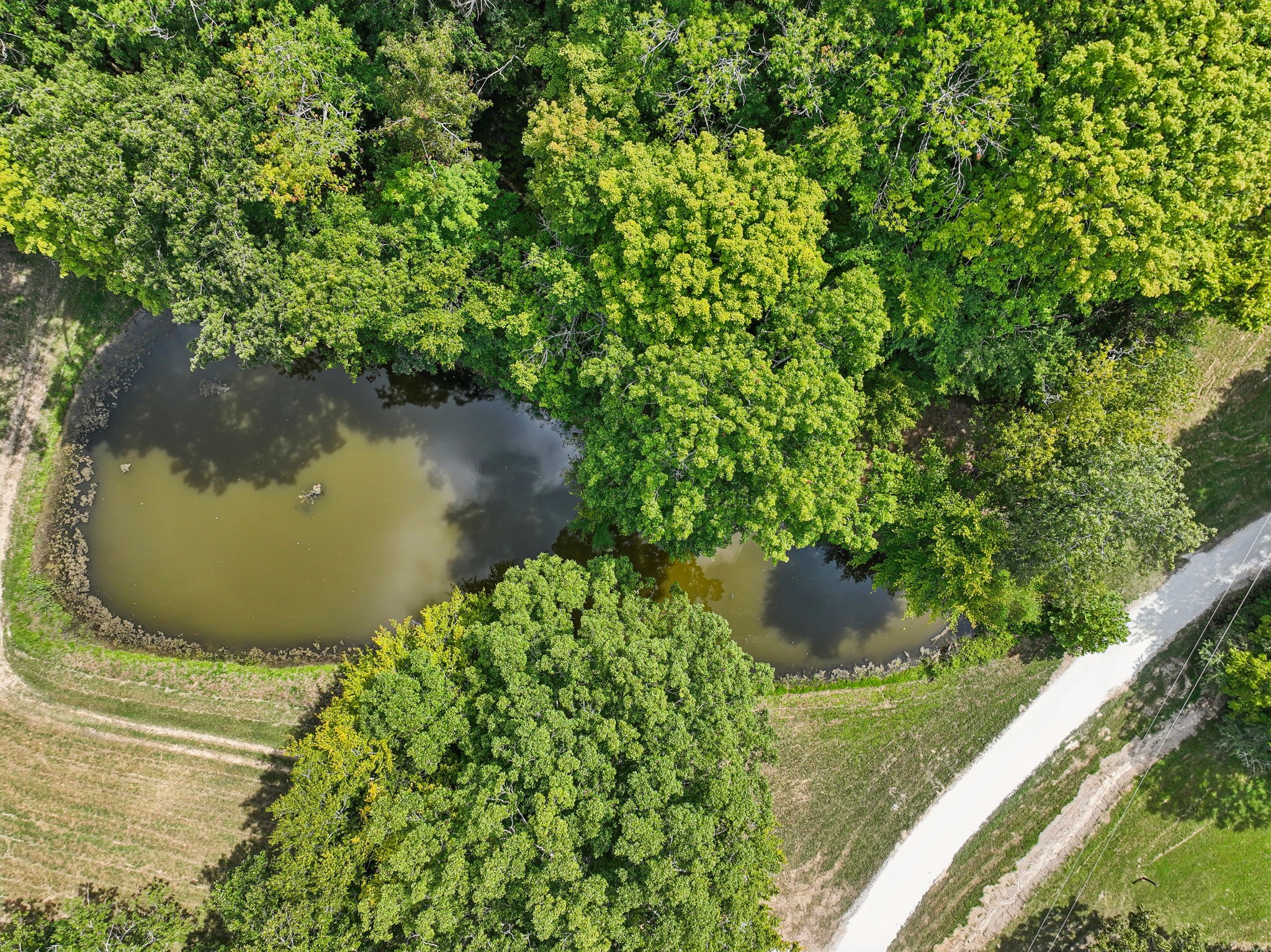 1712 Sugar Ridge Road Spring Hill, TN 37174 - Photo 60 of 65 a view of a lake with a yard
