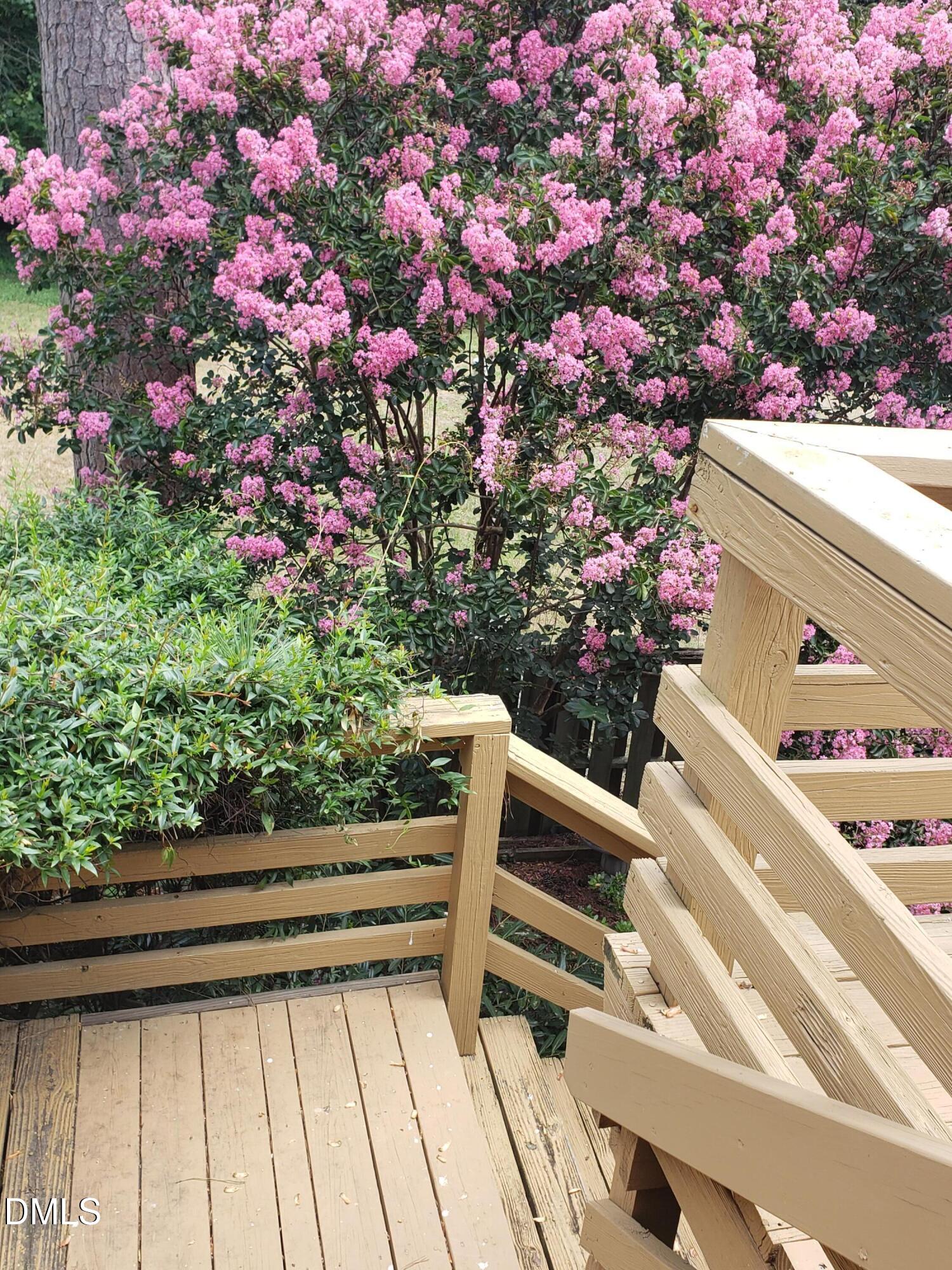 1424 Mapleside Court Raleigh, NC 27609 - Photo 55 of 72 a view of yard with flowers and flowers in front of it