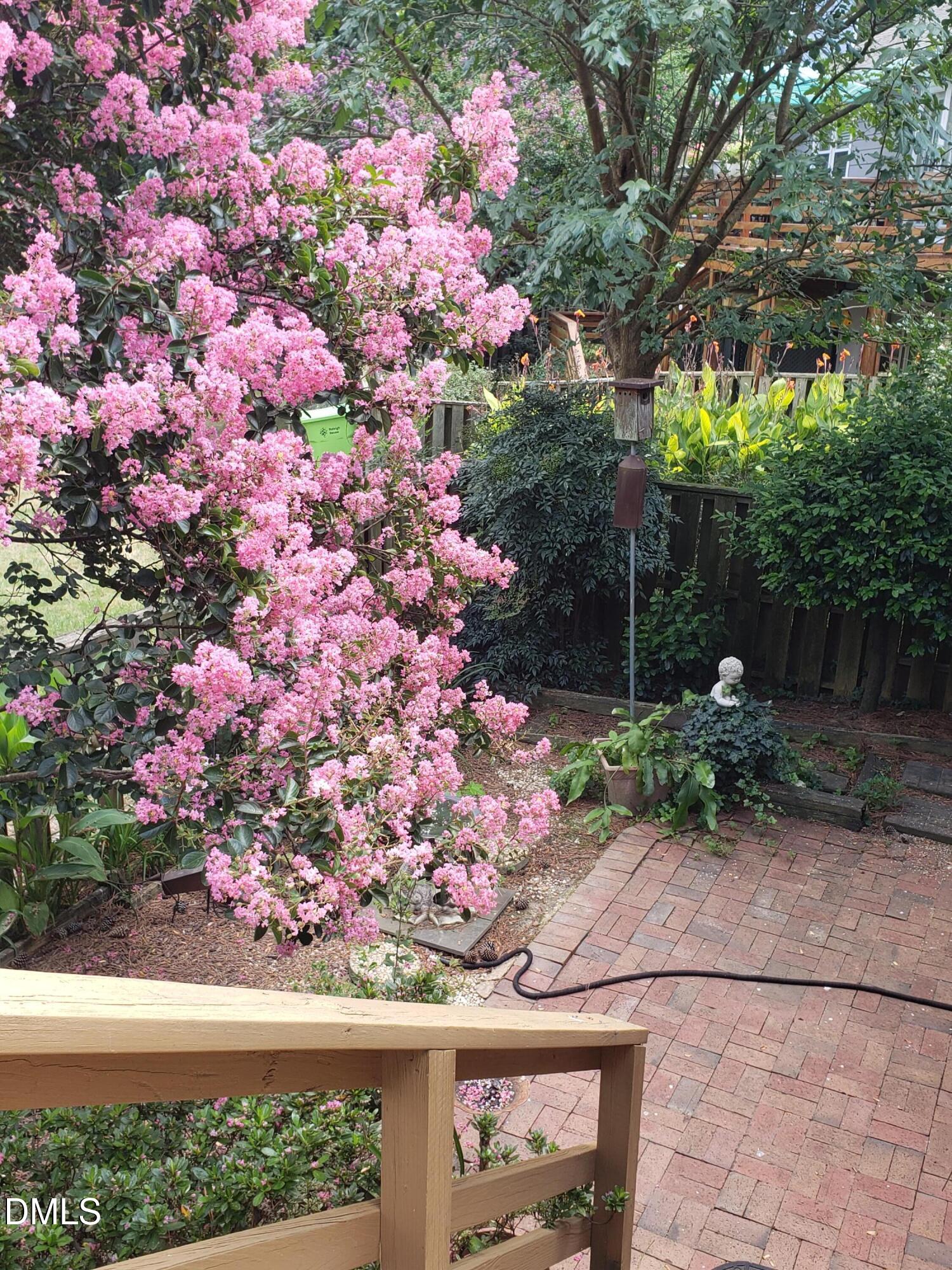 1424 Mapleside Court Raleigh, NC 27609 - Photo 56 of 72 Landscaping (6)