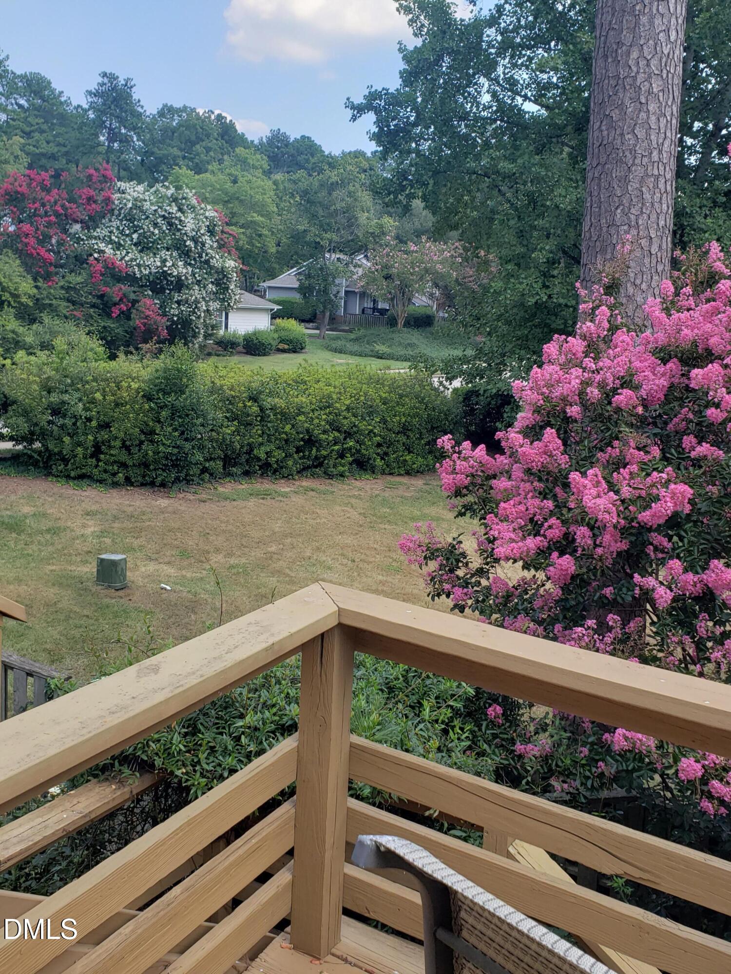 1424 Mapleside Court Raleigh, NC 27609 - Photo 57 of 72 Landscaping (8)