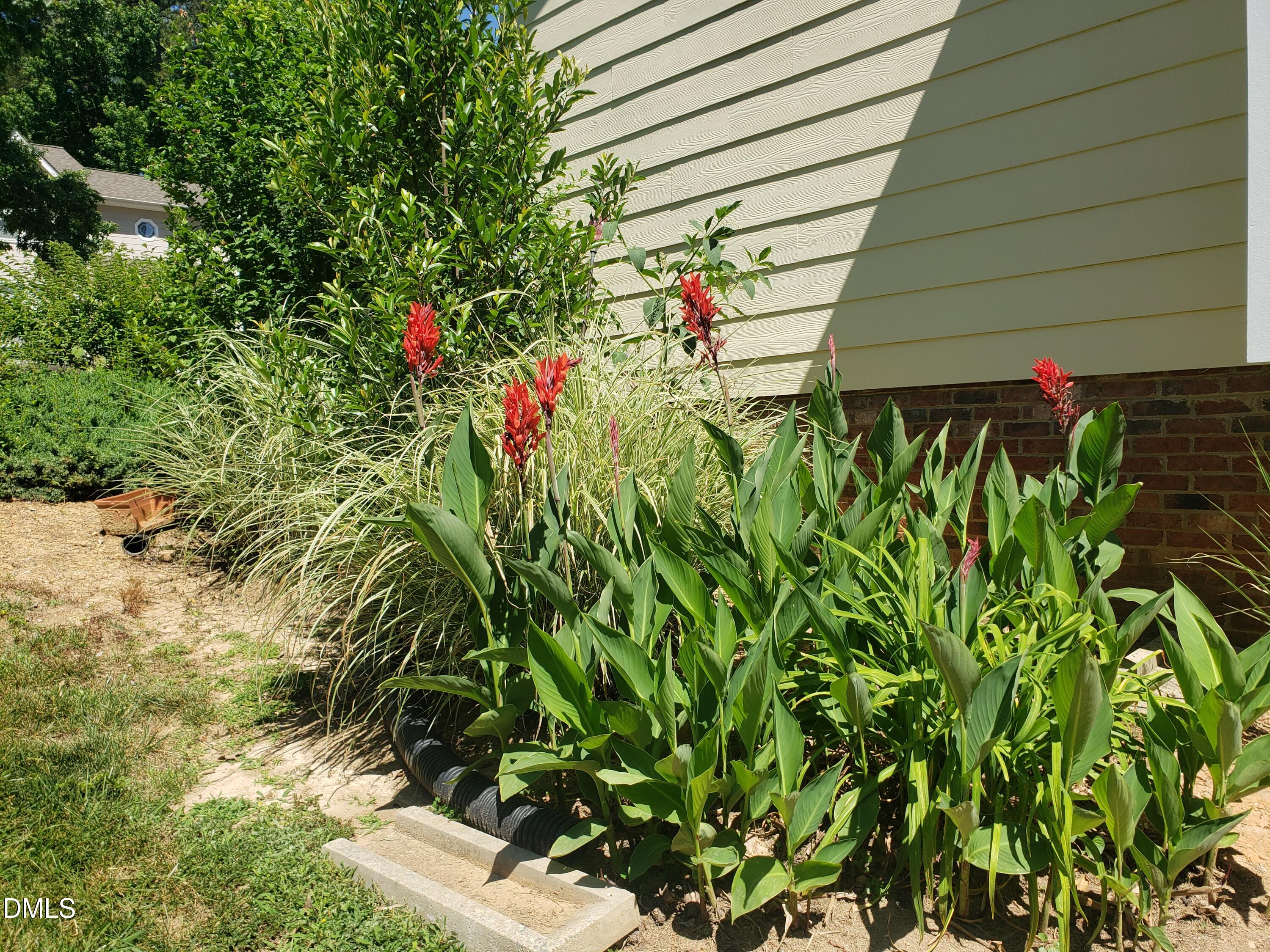 1424 Mapleside Court Raleigh, NC 27609 - Photo 63 of 72 a backyard of a house
