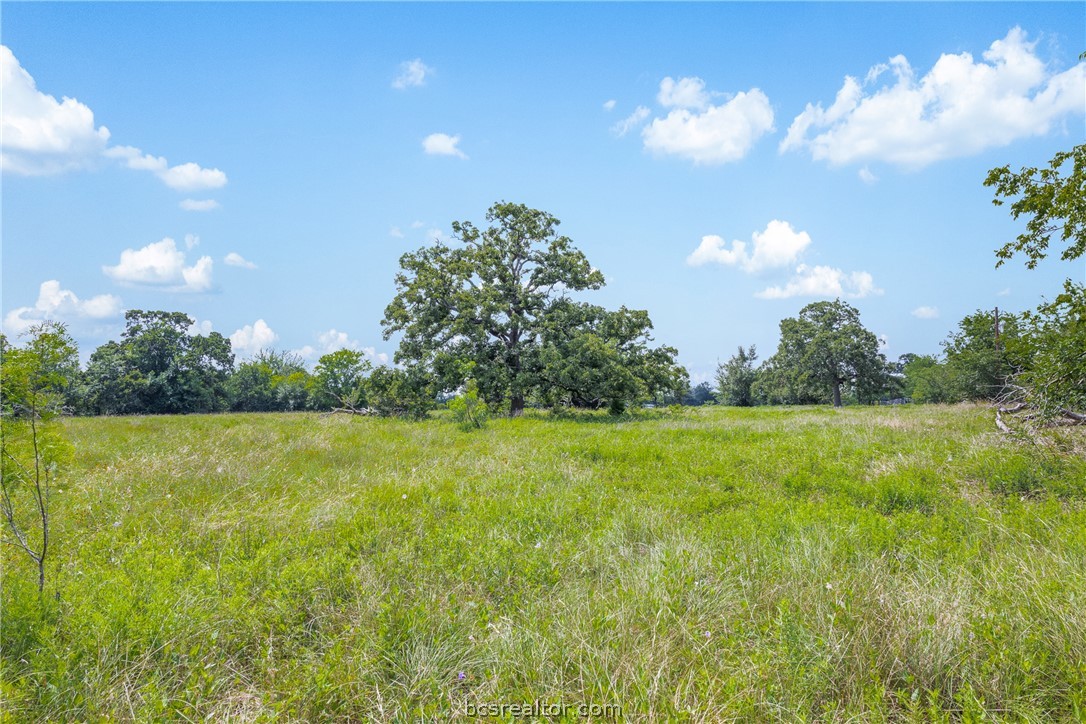 11504 North Dowling Road College Station, TX 77845 - Photo 3 of 22