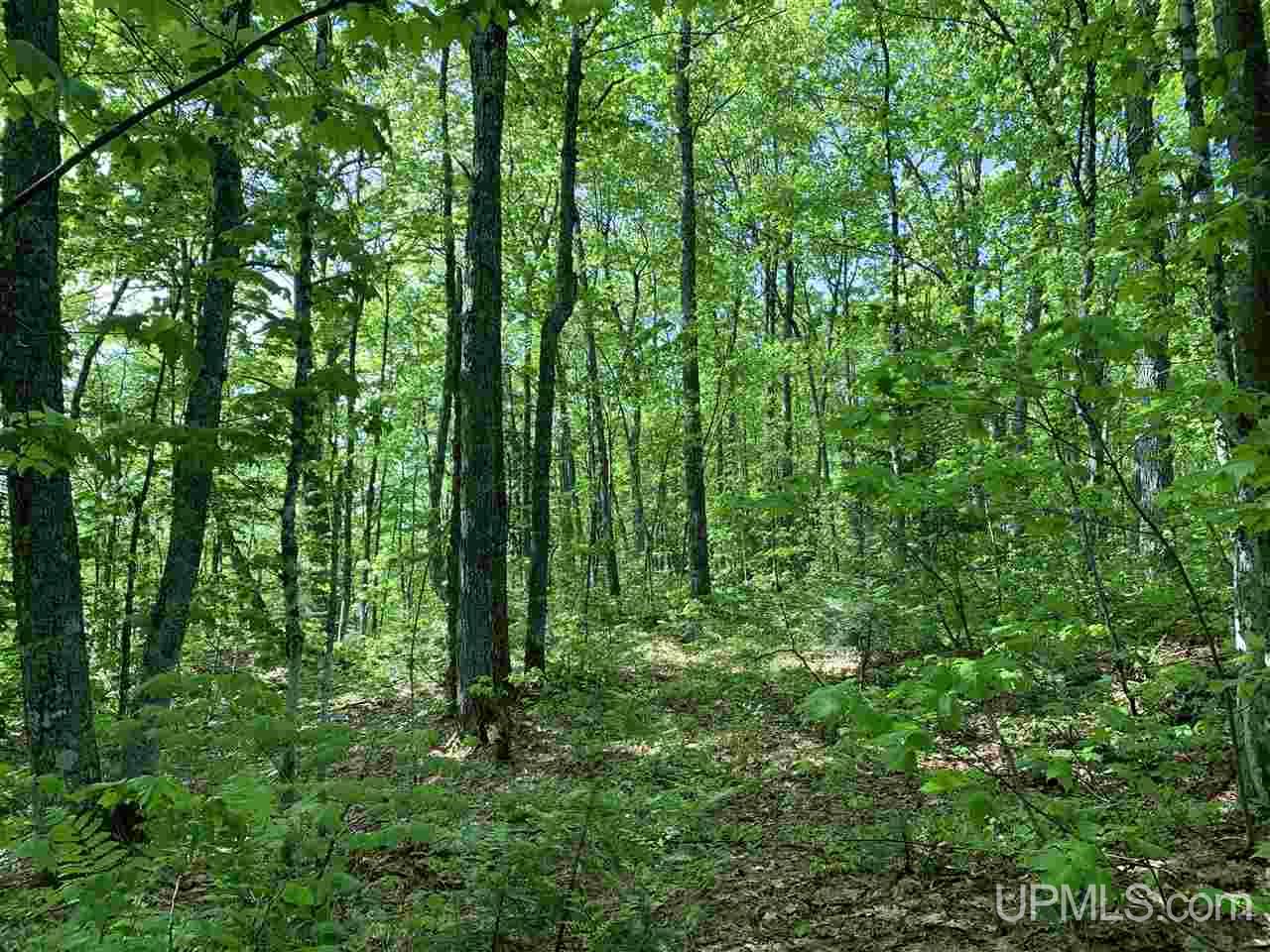 Tbd West Branch Huron River Road Skanee, MI 49946 - Photo 21 of 28