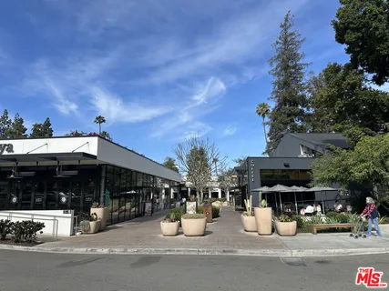 a view of a yard