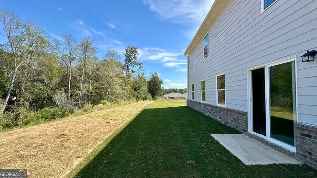 a view of a backyard with plants and large trees