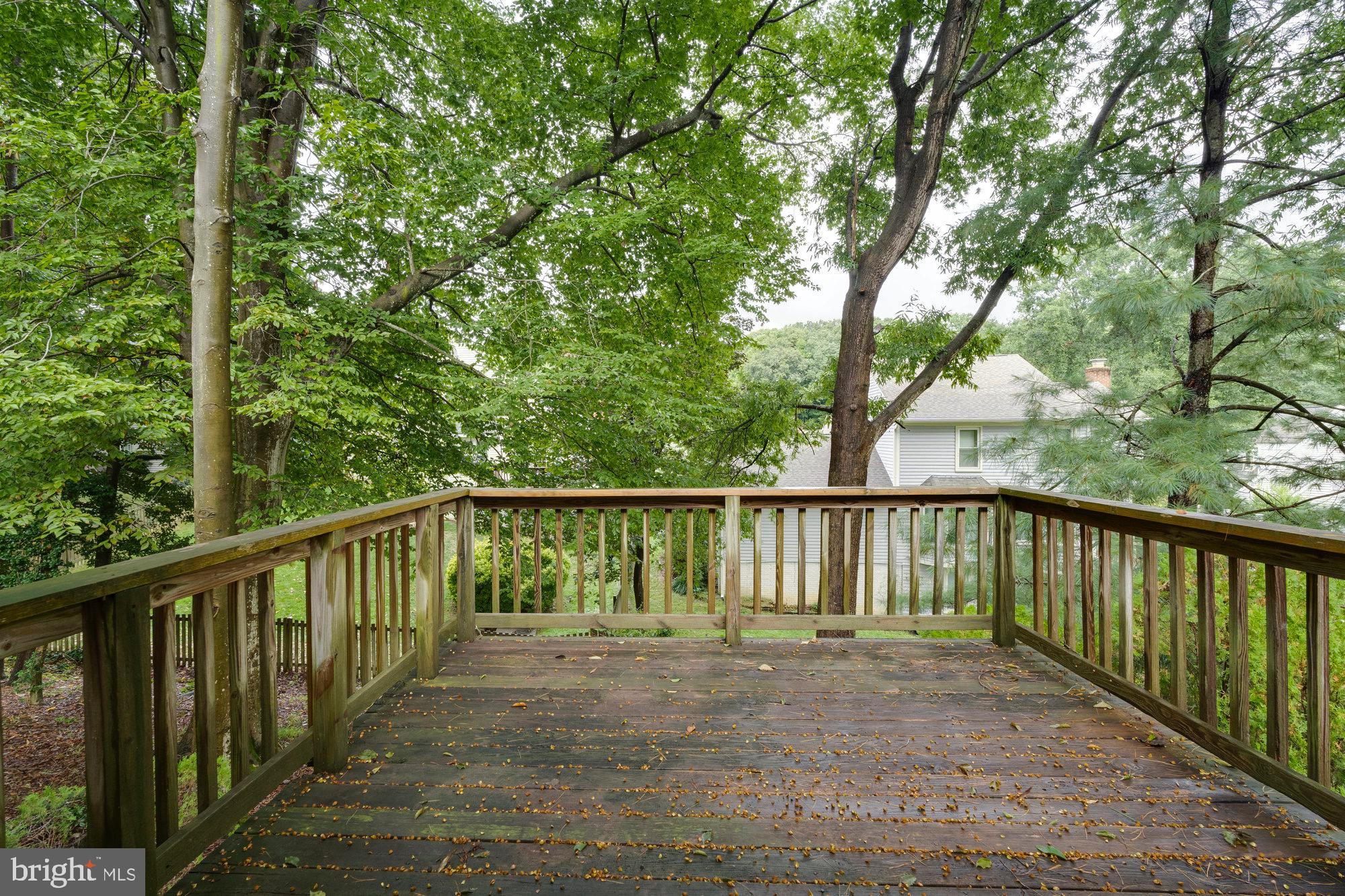 7446 Shepherd Ridge Court Springfield, VA 22153 - Photo 54 of 58