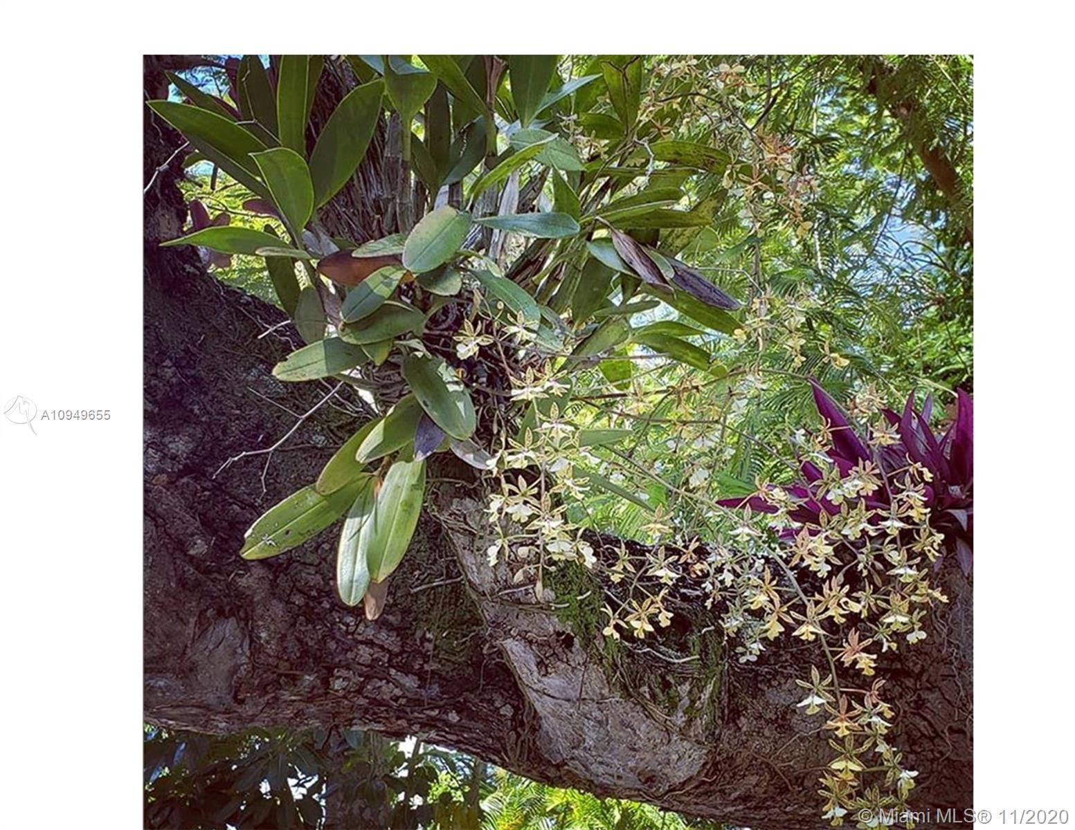 23550 Southwest 187th Avenue Homestead, FL 33031 - Photo 27 of 52