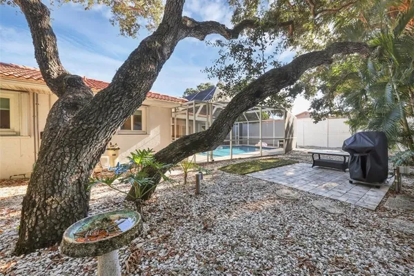 a view of a backyard with a white roof and plants