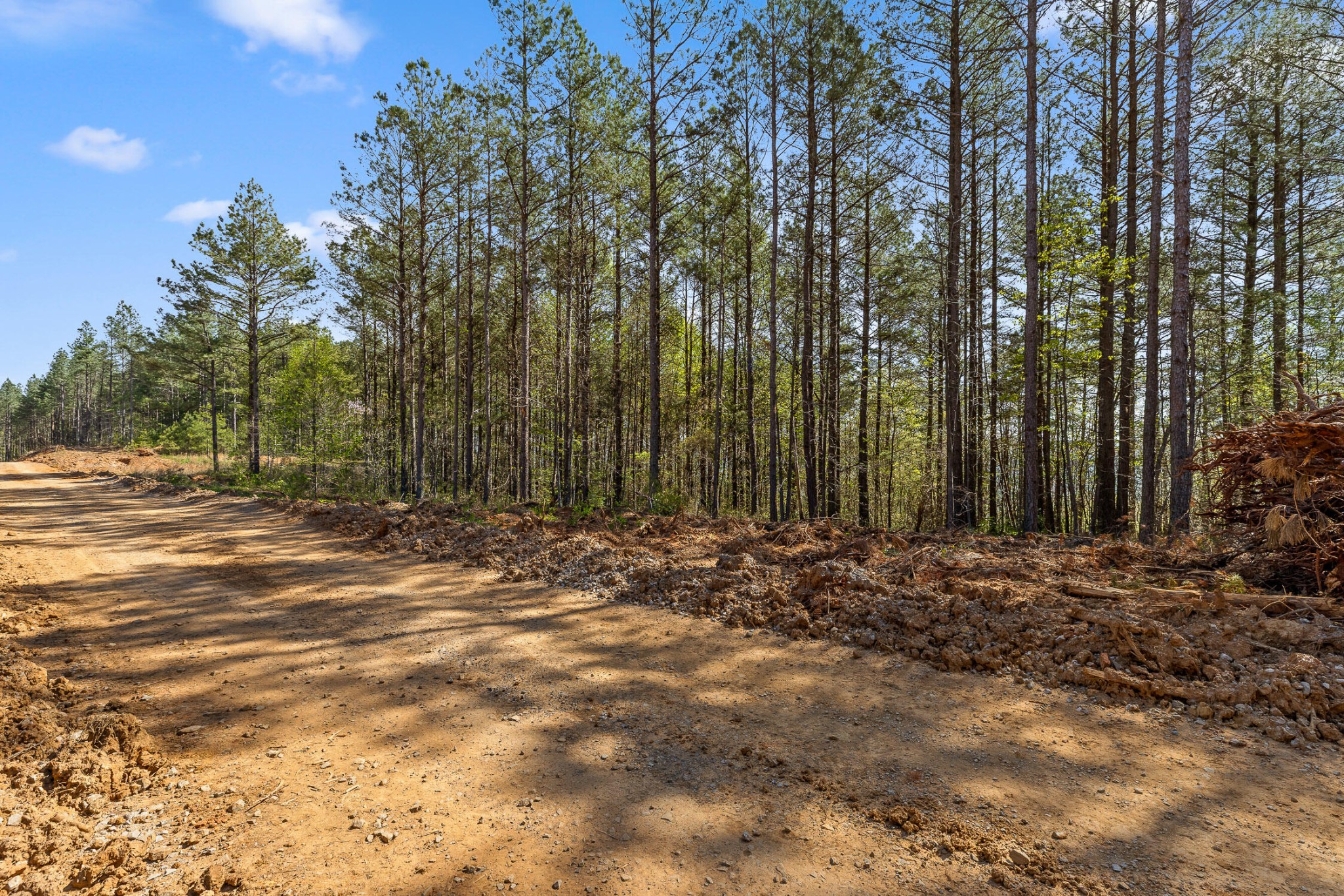 0 High Ground Road Guild, TN 37340 - Photo 3 of 24 Gallery Image 3