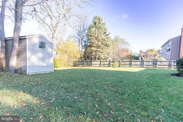 a view of yard with tree