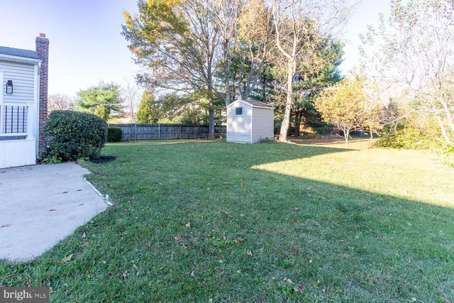 a view of a backyard with large trees