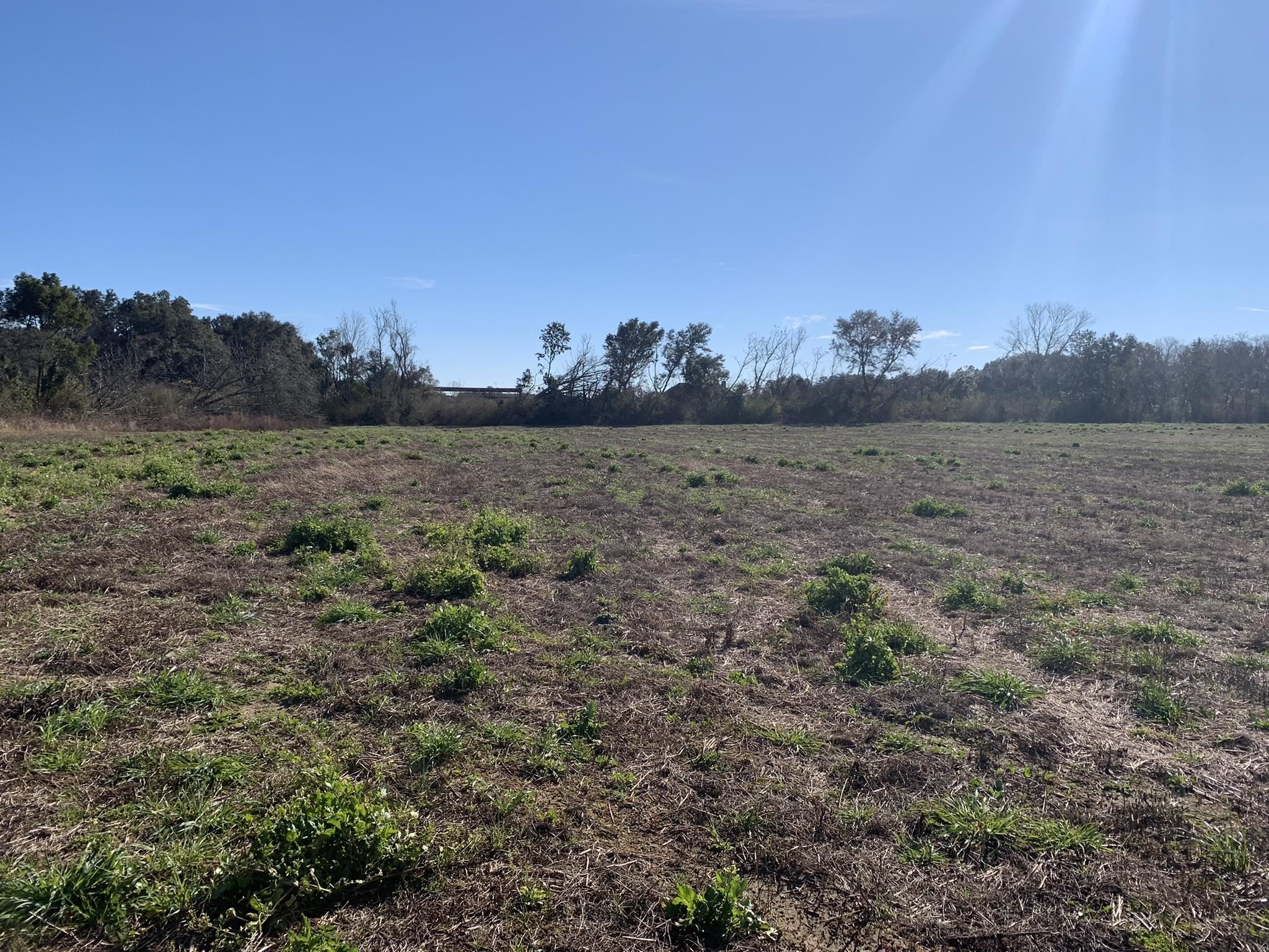 Lot 5 Wilson Road Elberta, AL 36530 - Photo 1 of 6