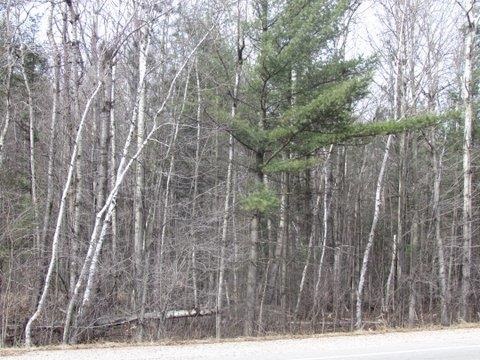 11-ac Mol County Rd HH Junction City, WI 54443 - Photo 1 of 1