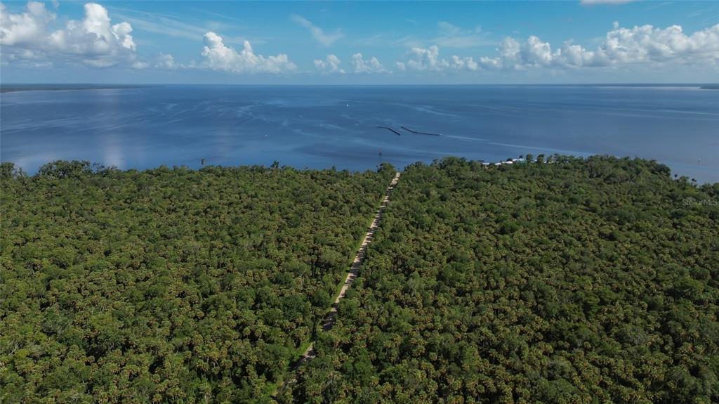 22040 Blue Creek Lodge Road Astor, FL 32102 - Photo 42 of 42 a view of a fountain in middle of the green field
