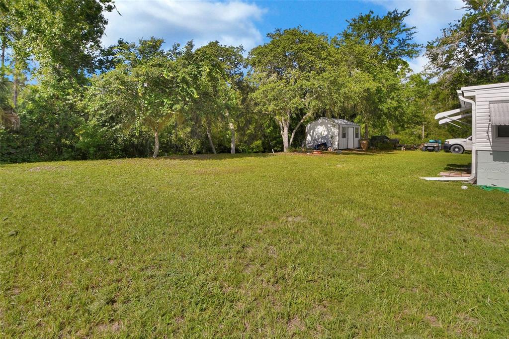 22040 Blue Creek Lodge Road Astor, FL 32102 - Photo 6 of 42 a view of a field with trees in front of it